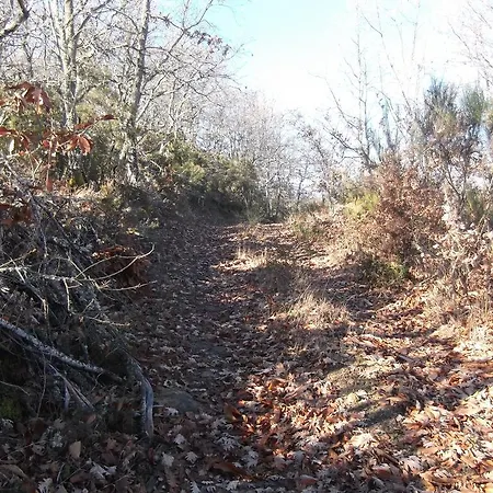Сasa de vacaciones Casa Do Pelourinho Rebordainhos