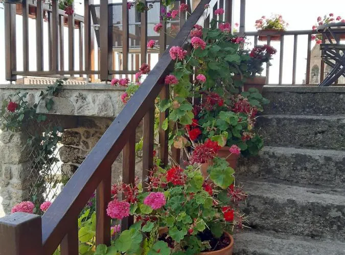 Casa Do Pelourinho Semesterbostad