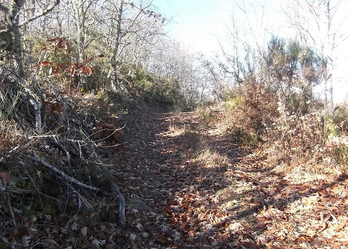 Semesterbostad Casa Do Pelourinho Rebordainhos
